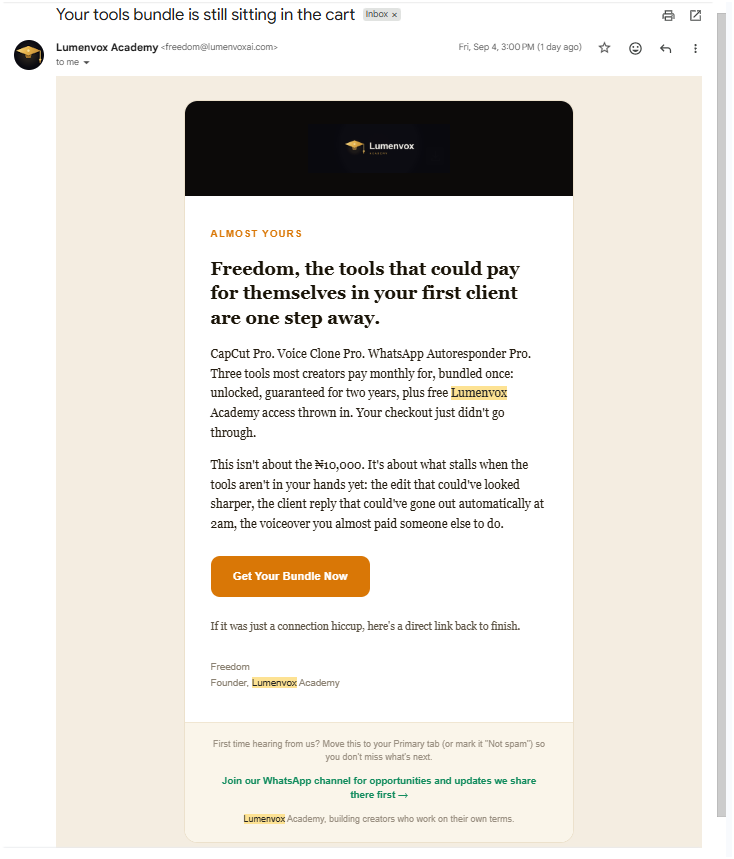A real bundle-abandoned-cart email: the same recovery system extended to bundle offers, not just the base course.